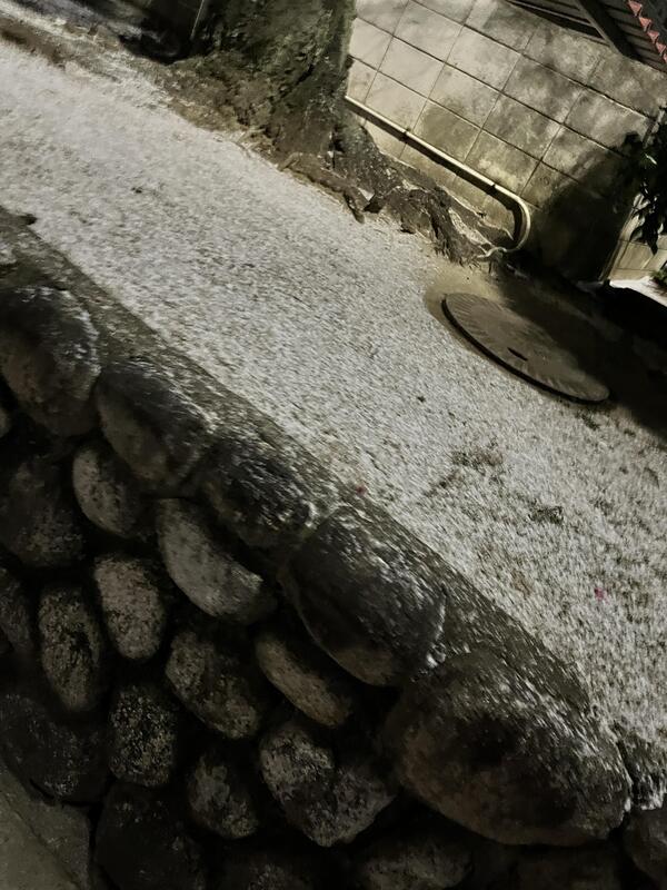 IMG_1753.JPGのサムネイル画像