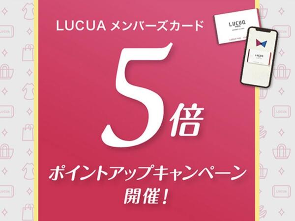 ポイント5倍