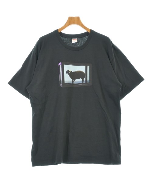 シュプリーム(Supreme)のSupreme Tシャツ・カットソー