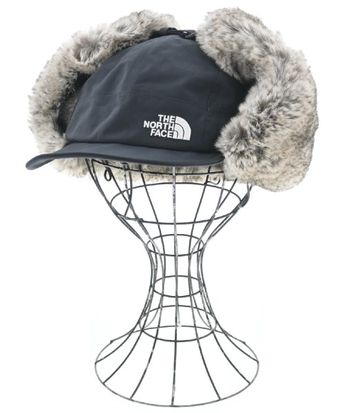 ザノースフェイス(THE NORTH FACE)のTHE NORTH FACE キャップ