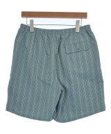 Patagonia（パタゴニア）ショートパンツ 青 サイズ:M メンズ/2200699952057