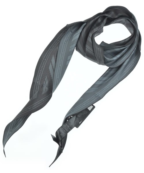 EMPORIO ARMANI(エンポリオアルマーニ)の小物類（その他） サイズ:- 10,400円