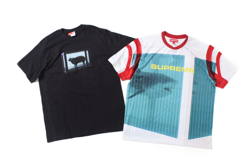 ×ダミアン・ハースト 羊、鮫